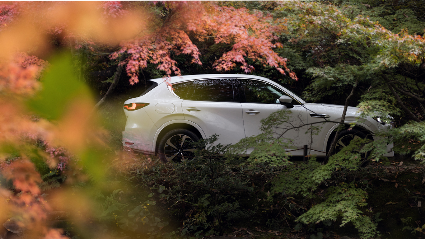 home-banner-cx-60
